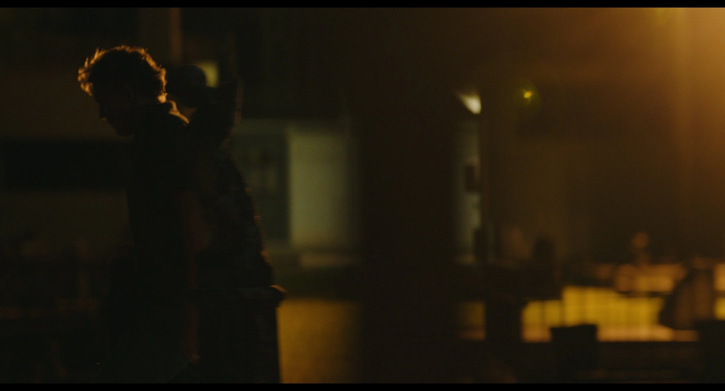 STORM_BIRD_ACADEMIC_DCI_FLAT_4K_part01.mov_1.37.1.jpg