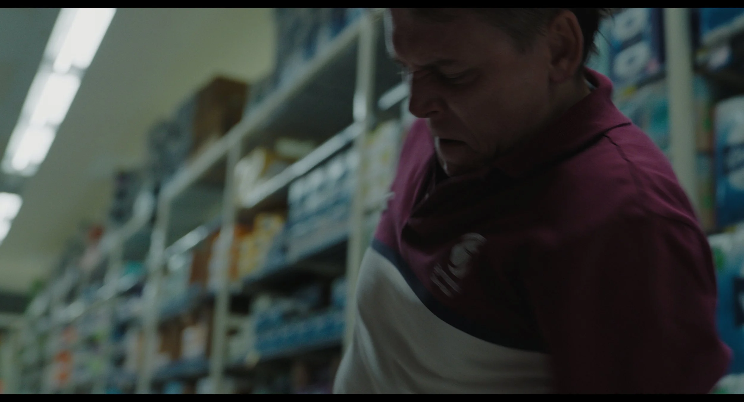STORM_BIRD_ACADEMIC_DCI_FLAT_4K_part03.mov_1.39.1.jpg