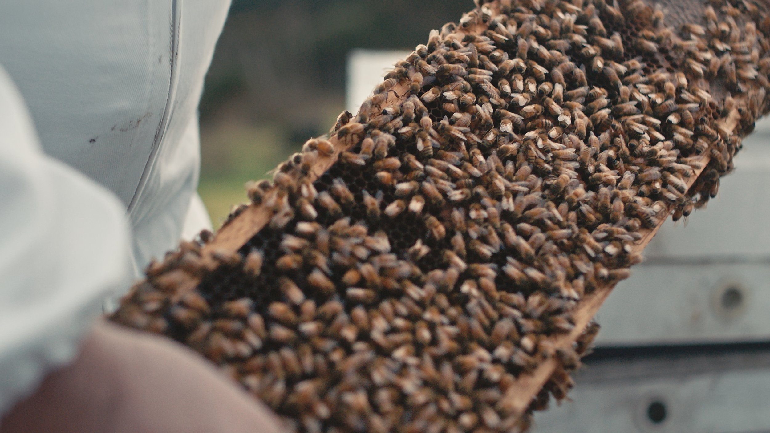 Still 2025-10-22 144722_1.3.2.jpg