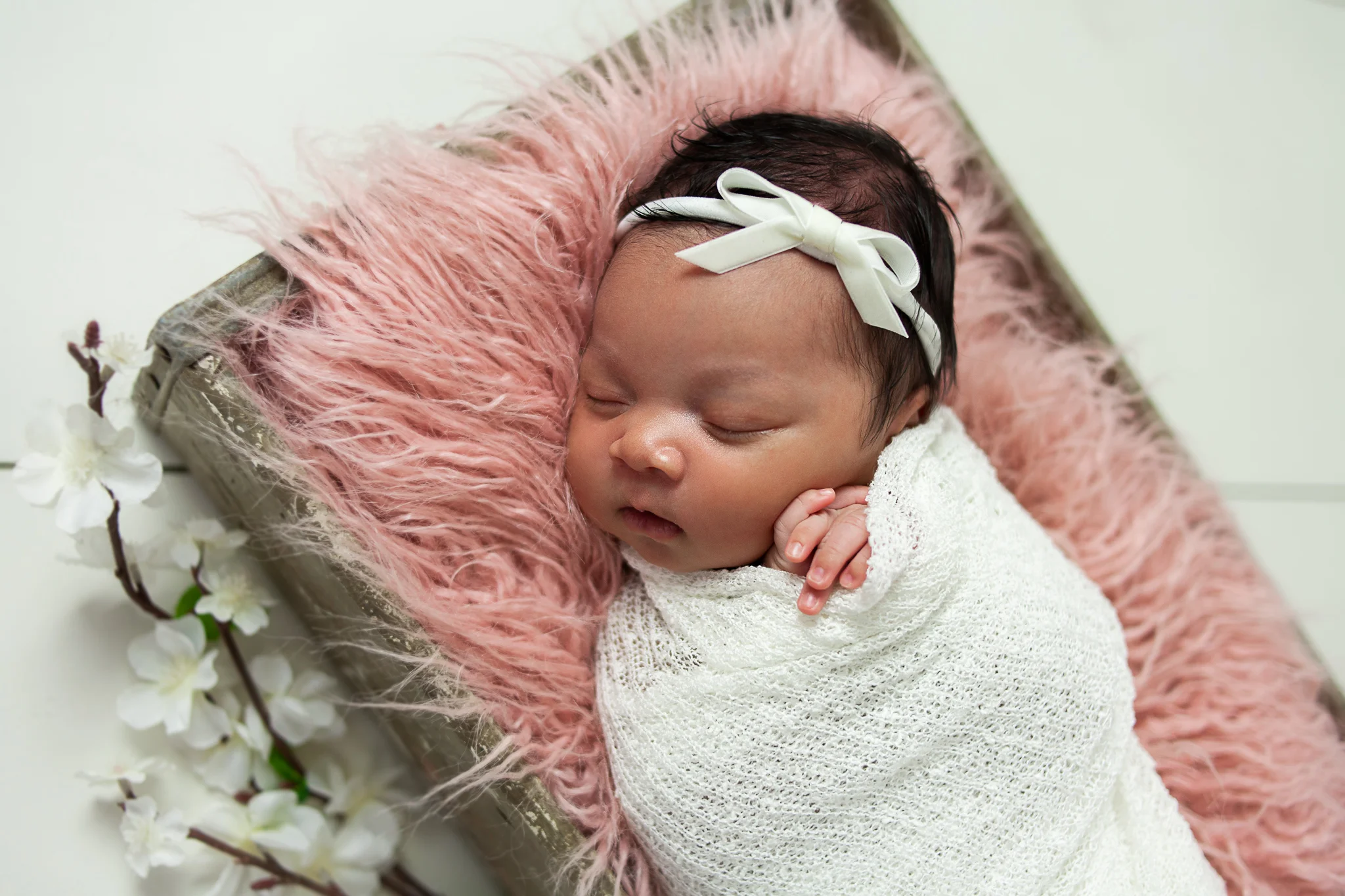 Studio Newborn &amp; Sibling