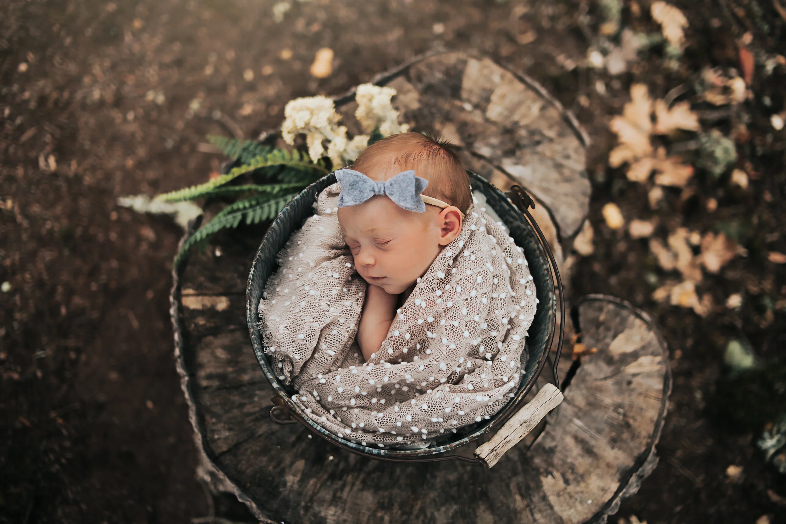 Newborn Lifestyle Session