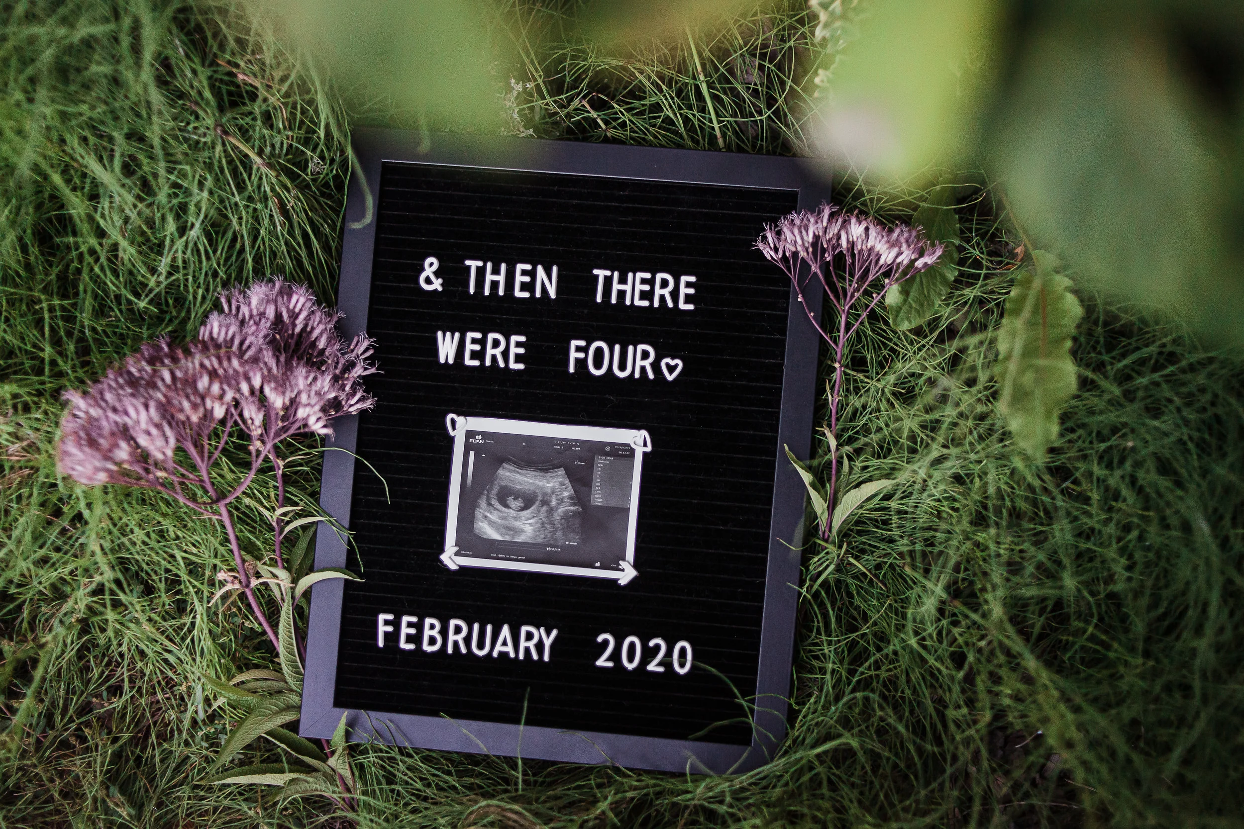 Big Brother Announcement! 