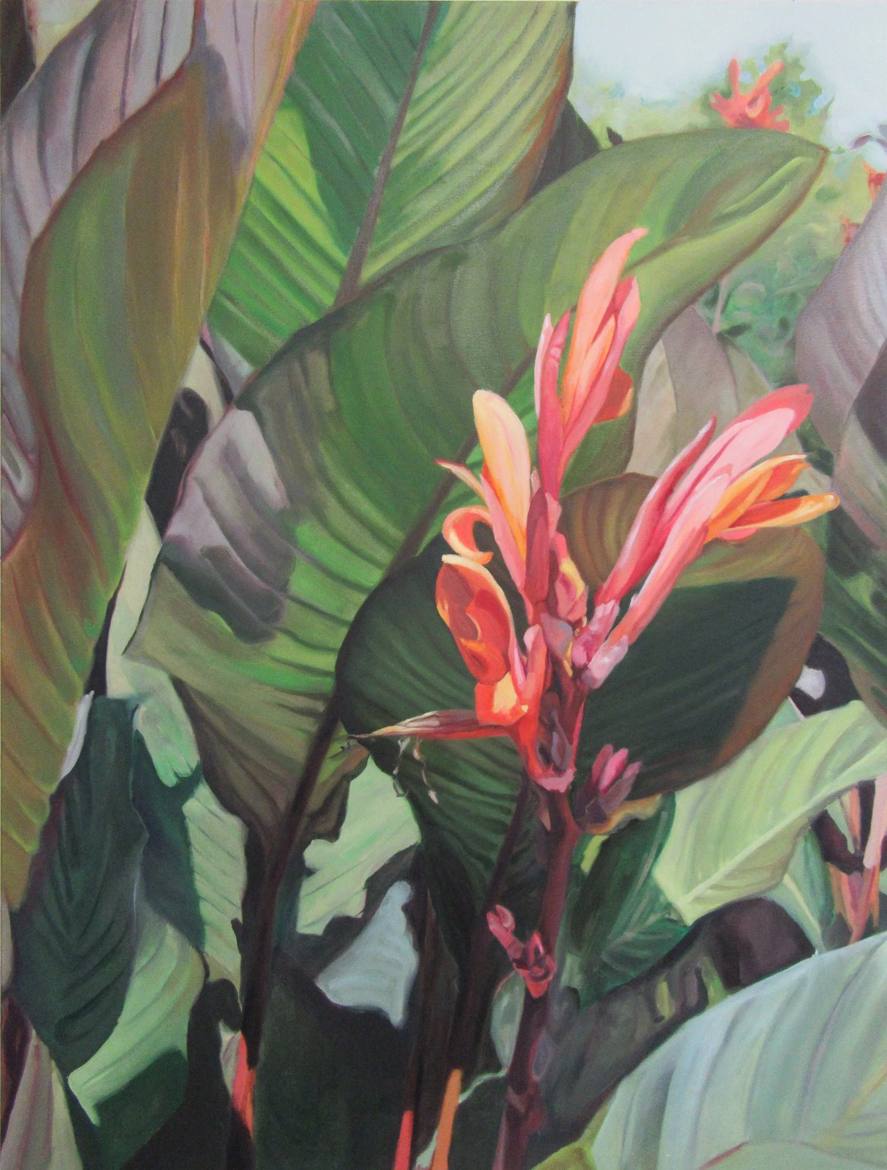Cannas