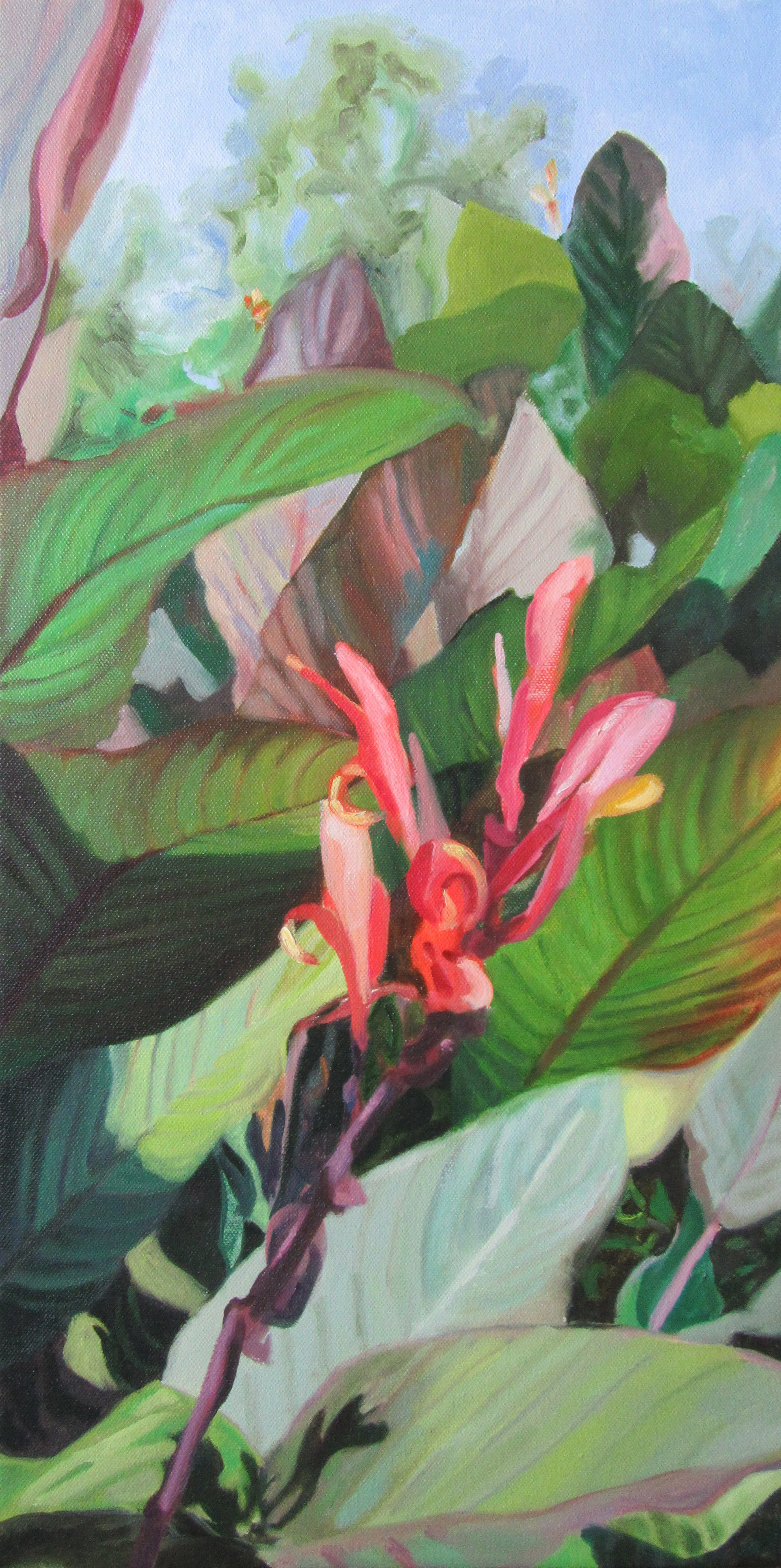 Canna Study 1