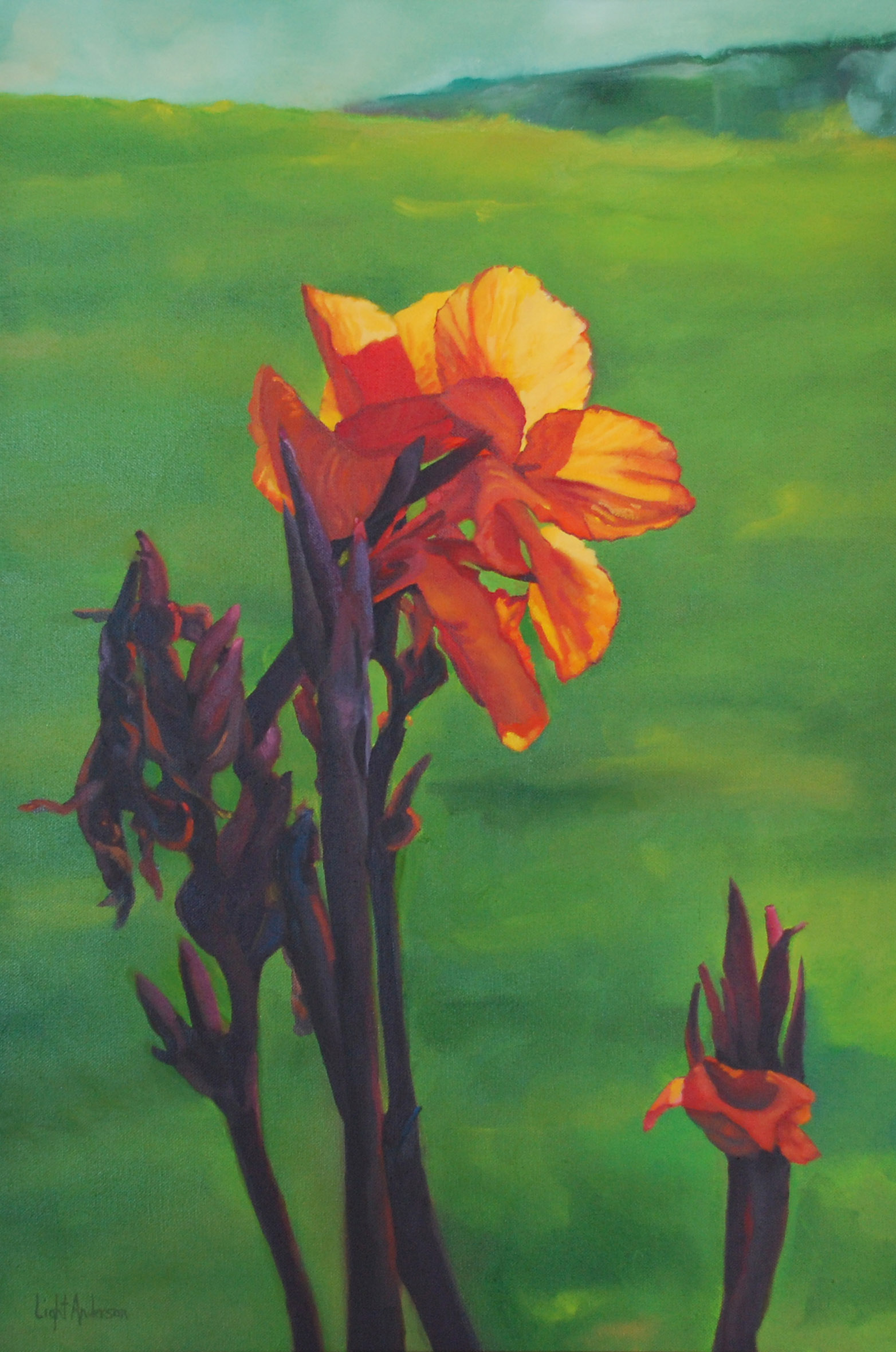 Cannas and Green 1