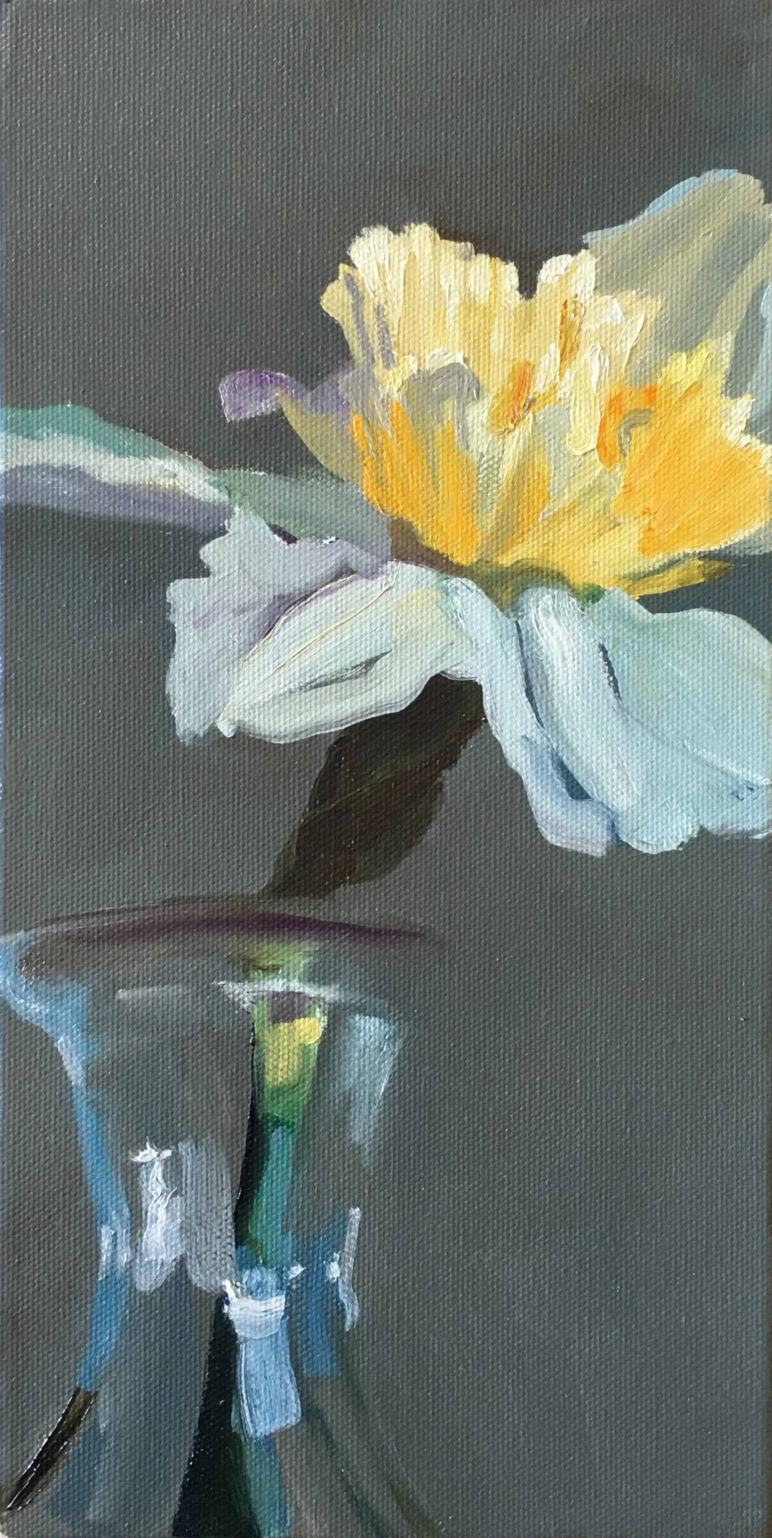 Daffodil Study 1