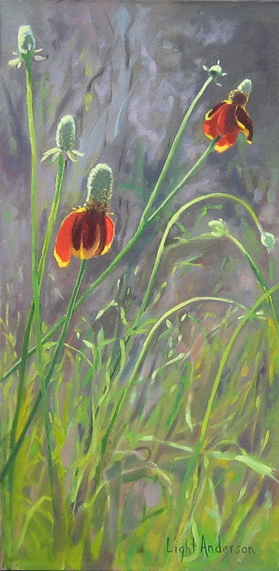 Spent Flowers