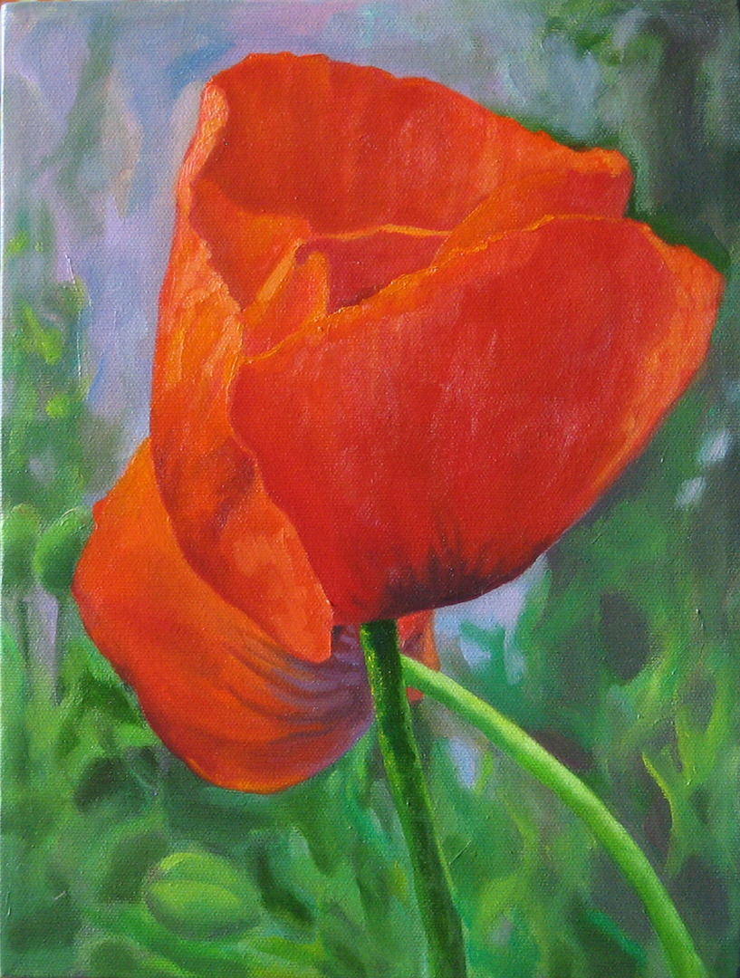 Poppy Study 2