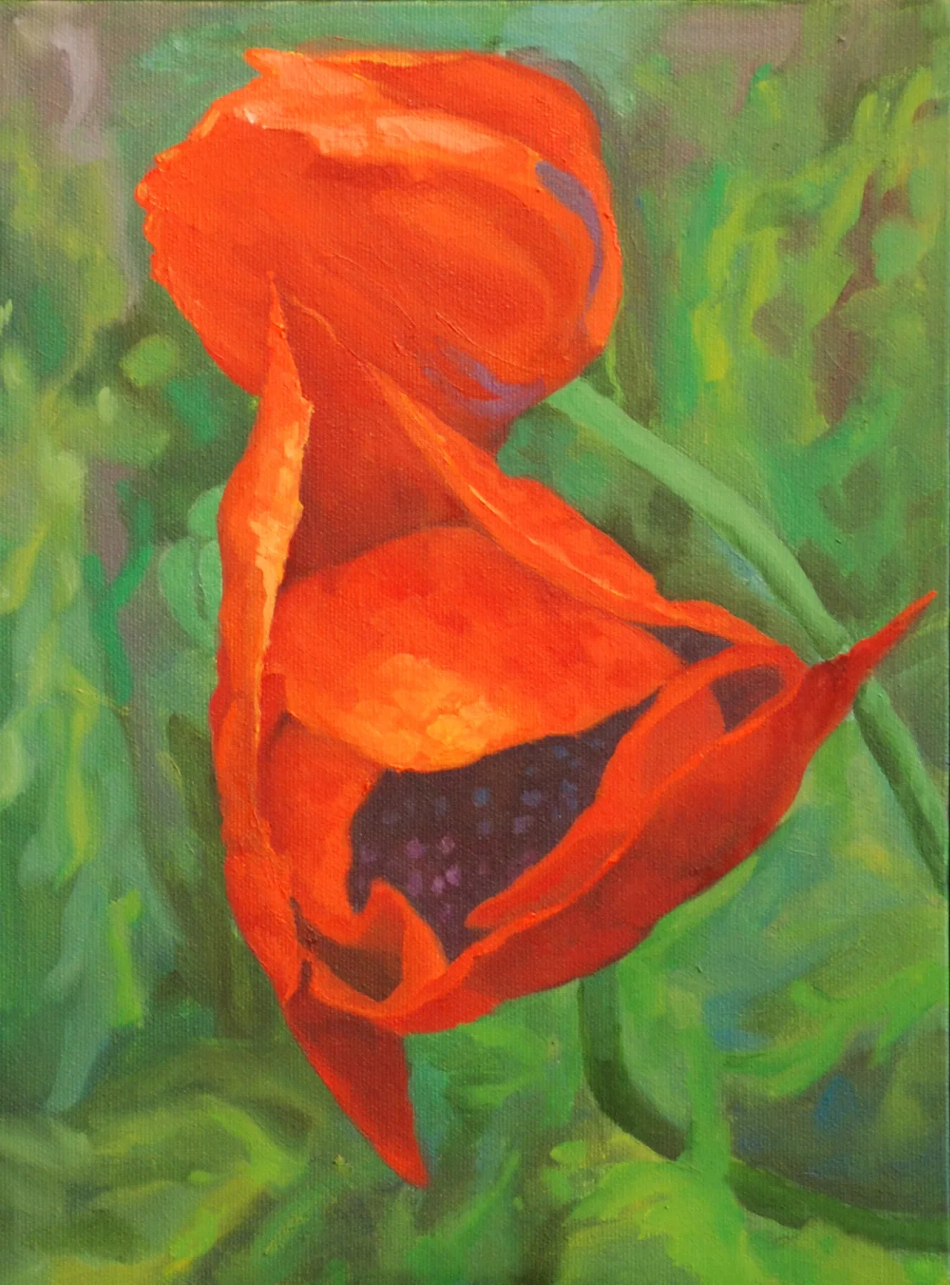 Poppy Study 3