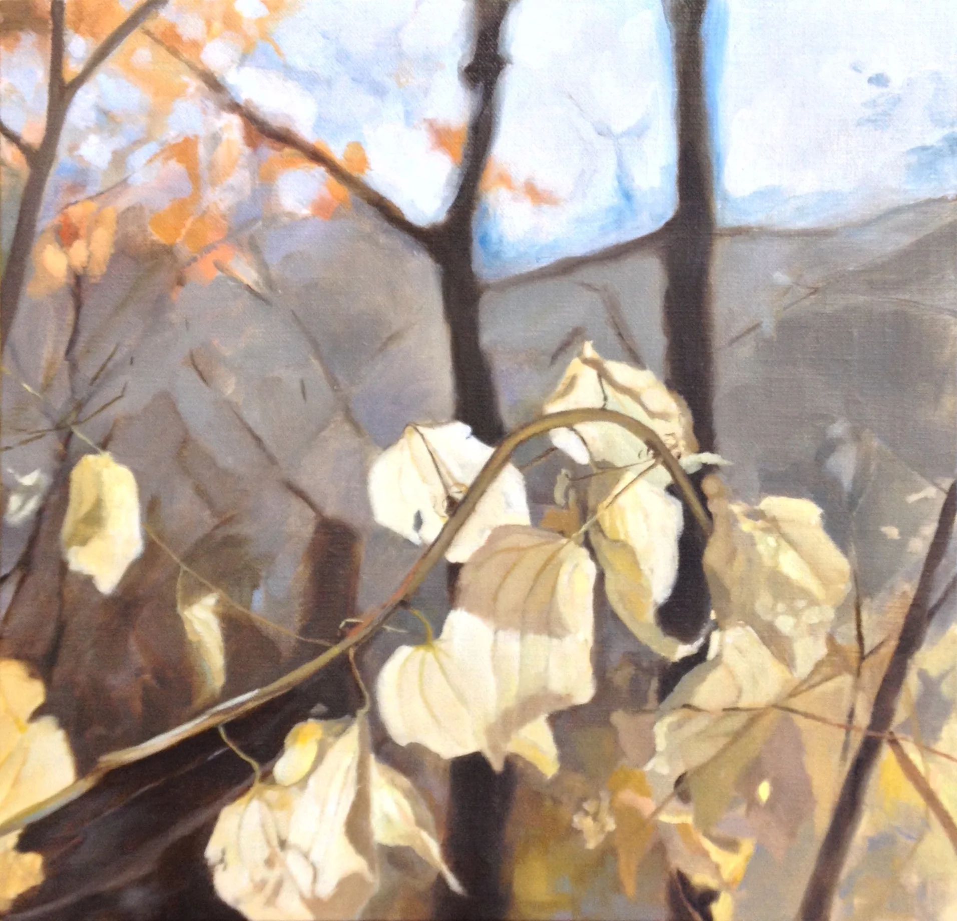 Fall Landscape Study1