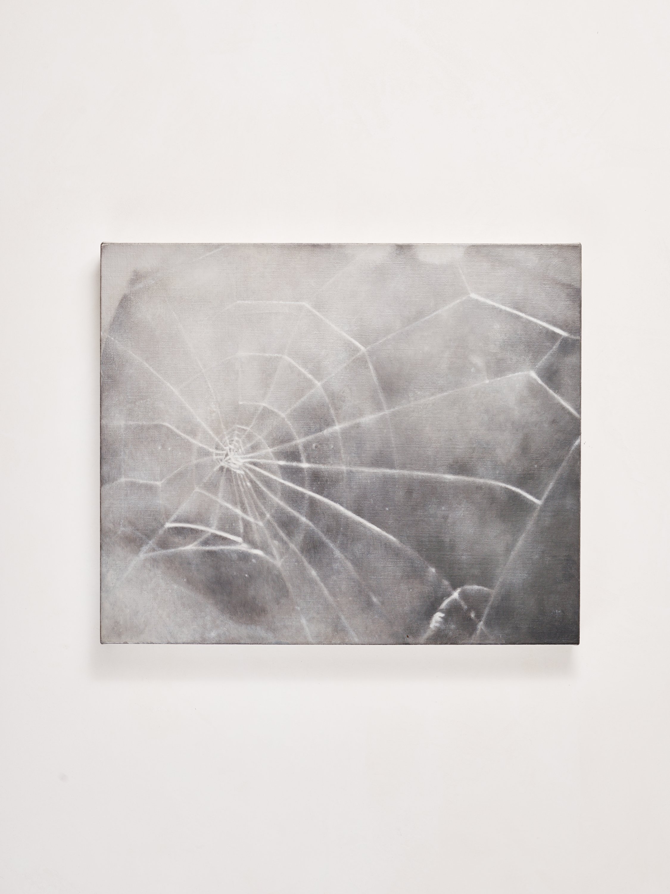 20180228_Vija Celmins Web #1_0030 1.jpg