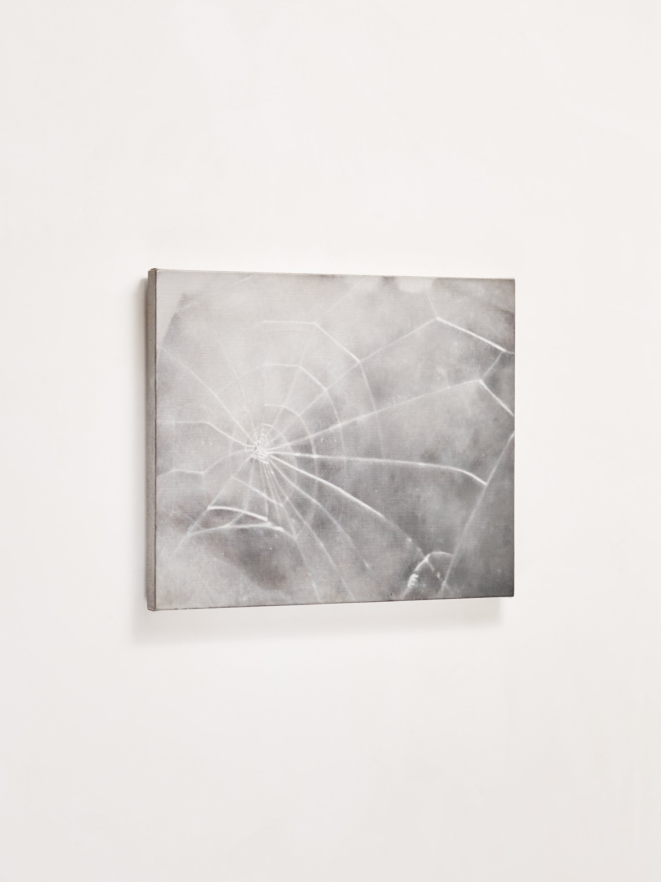 20180228_Vija Celmins Web #1_0036 1.jpg