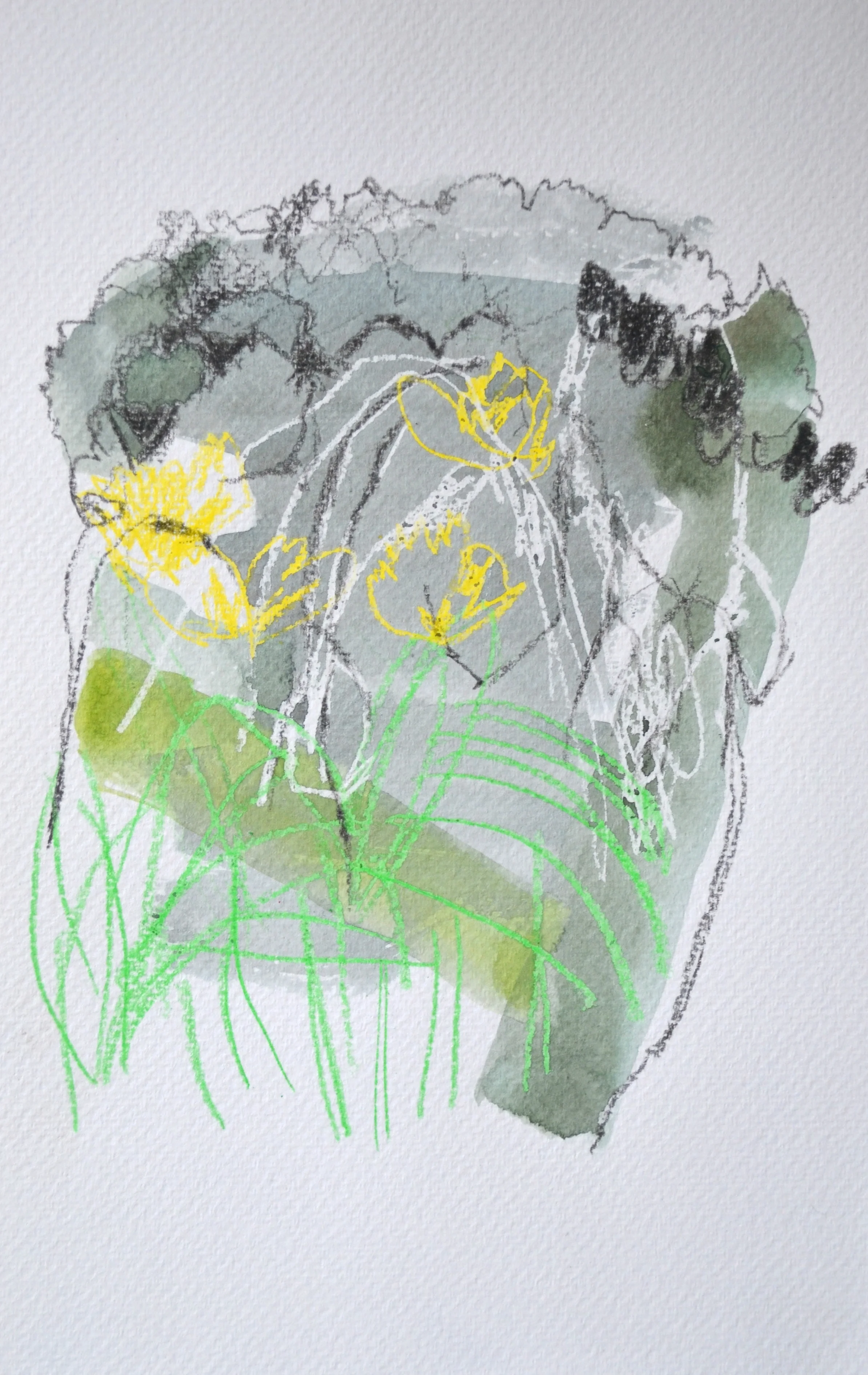 Garden Study 2