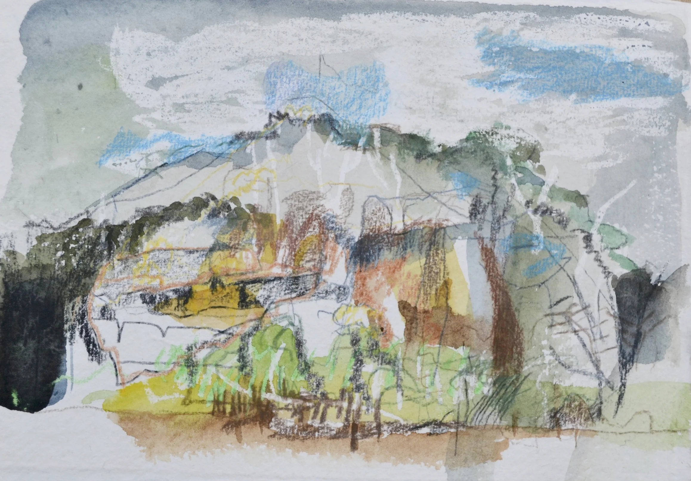 Mangrove Creek Study 1