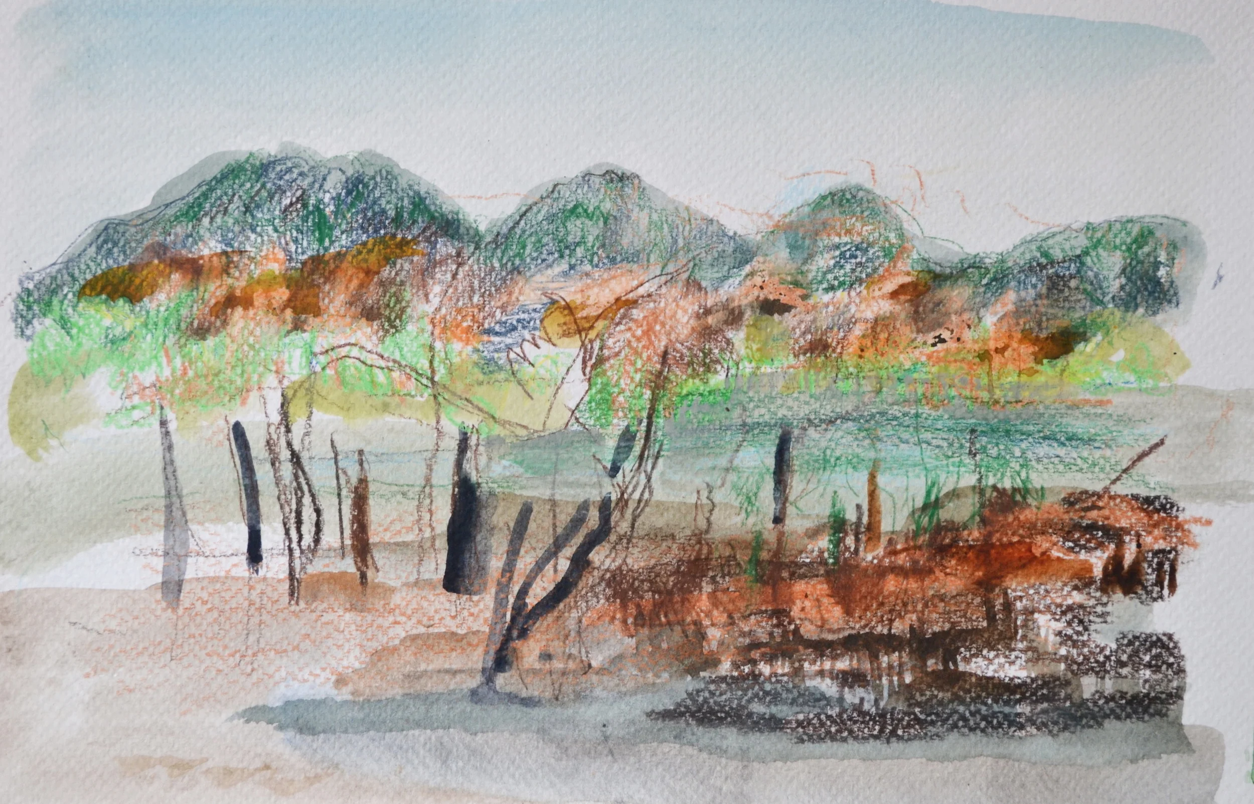 Hawkesbury Study