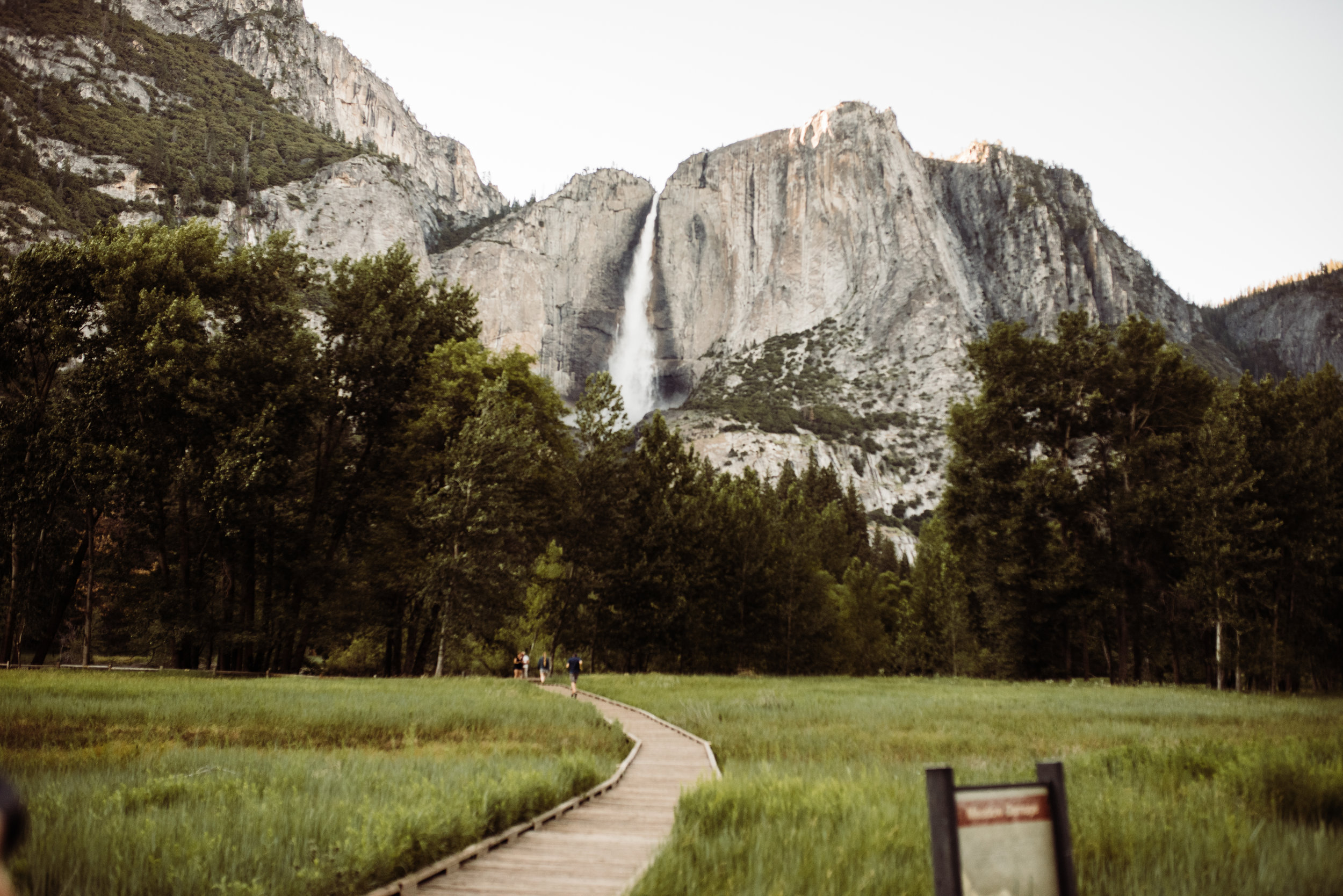 Yosemite Valley in the Summertime with Yosemite Falls in the background