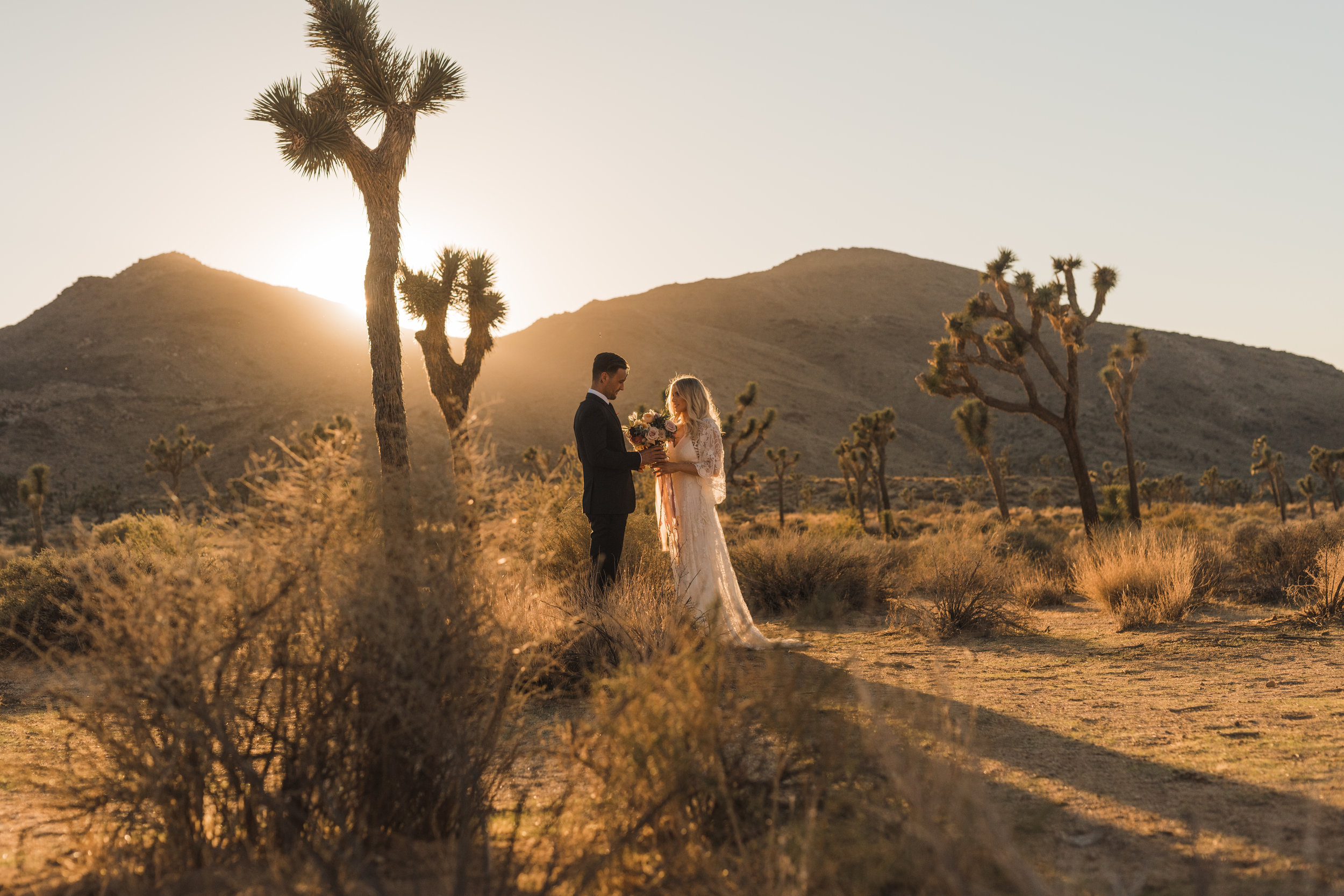 Joshua Tree National Park Elopement at Golden Hour