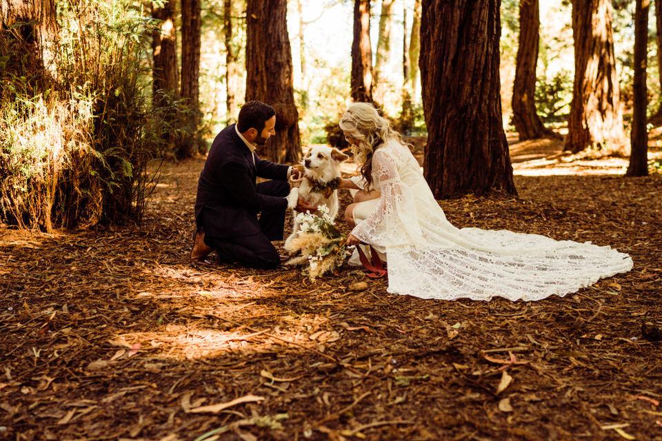 Bride and Groom with dog wearing flower crown in Redwoods