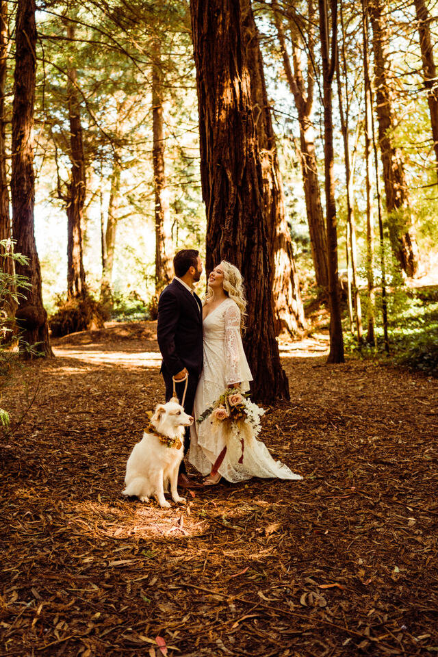 Boho elopement couple in Redwoods with dog wearing floral crown, Bride wearing bibiluxe boho lace wedding gown, couple standing in front of Redwood trees