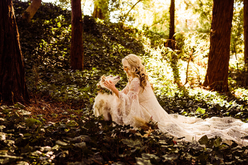 Bride and cute dog at elopement, ivy in the background, standing in Redwoods in San Francisco,  bride wearing boho wedding dress from Bibiluxe