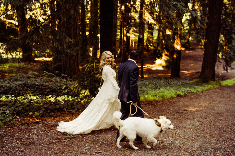 Bride, Groom, and dog wearing flower collar walking in the Redwoods at San Francisco elopement, bride wearing Bibiluxe lace boho wedding gown