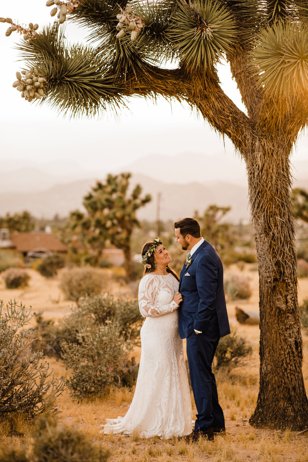 Joshua-Tree-Bride-and-Groom-Beneath-Tree.jpg