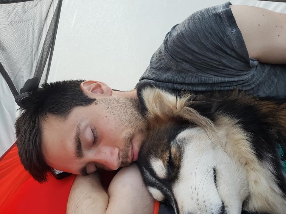 Husky and man sleeping in tent in Apple Hill campground, Lake Tahoe, CA