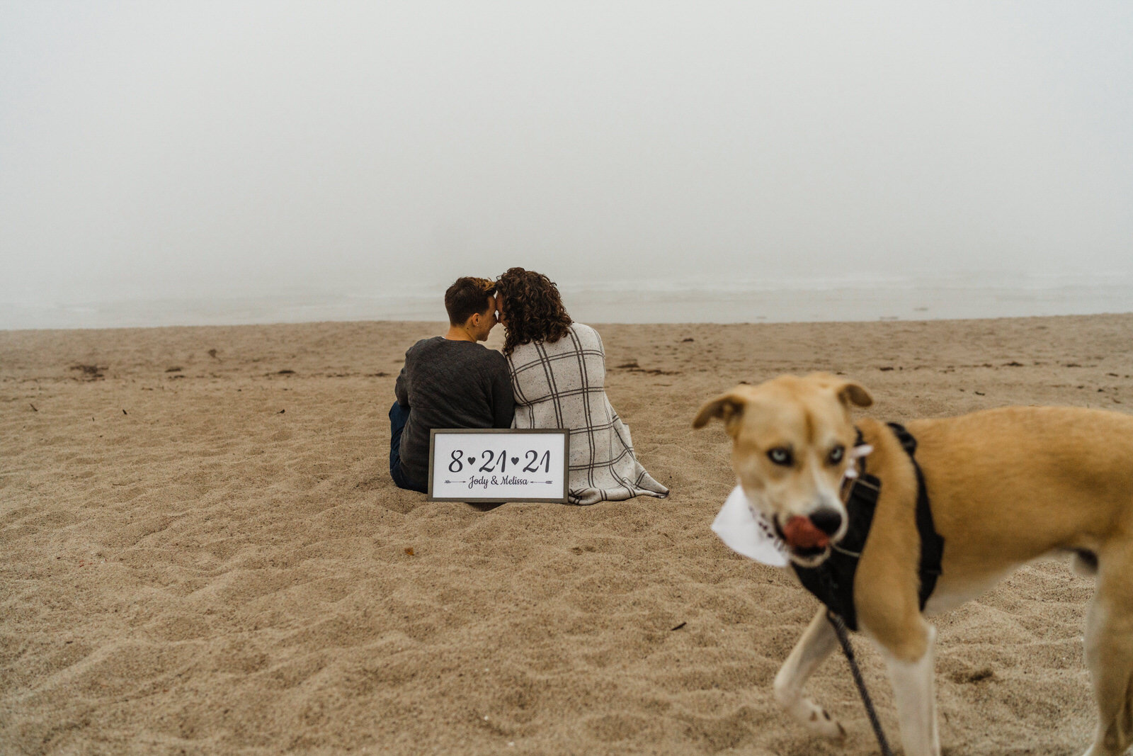 Ventura-Beach-Engagement-Shoot-Couple-Women-with-Dog-on-Hollywood-Beach (6).jpg