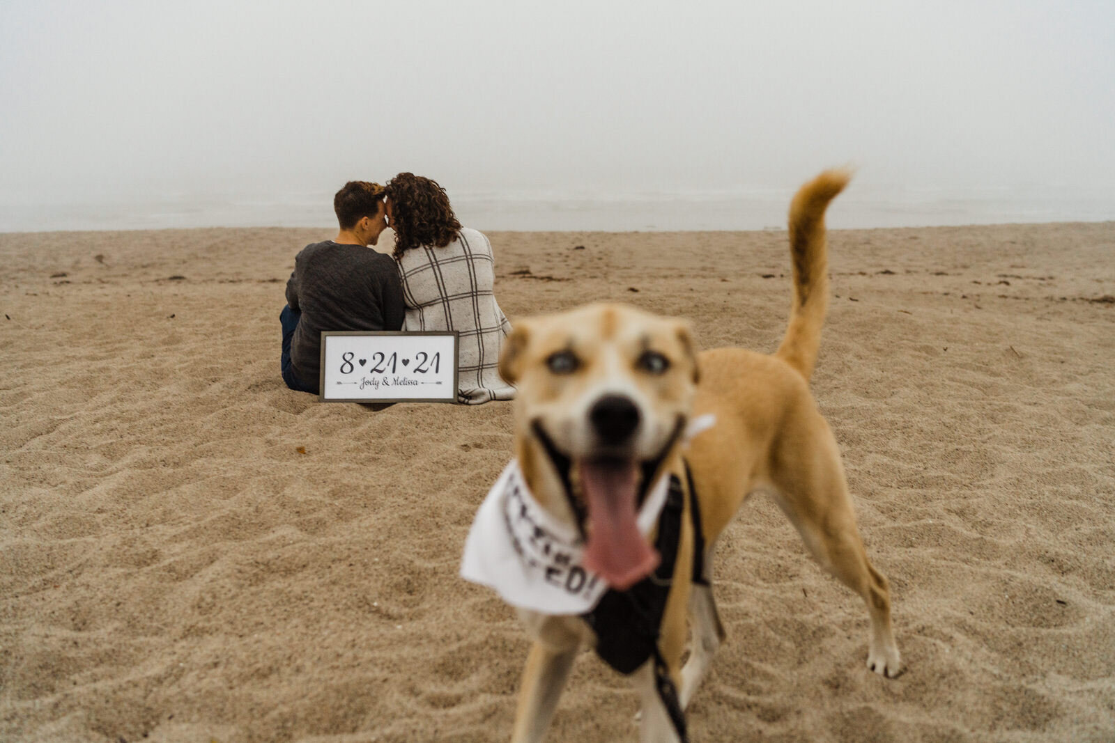 Ventura-Beach-Engagement-Shoot-Couple-Women-with-Dog-on-Hollywood-Beach (7).jpg