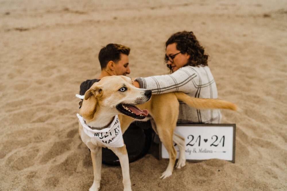 Ventura-Beach-Engagement-Shoot-Couple-Women-with-Dog-on-Hollywood-Beach (13).jpg