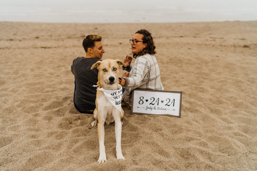 Ventura-Beach-Engagement-Shoot-Couple-Women-with-Dog-on-Hollywood-Beach (14).jpg