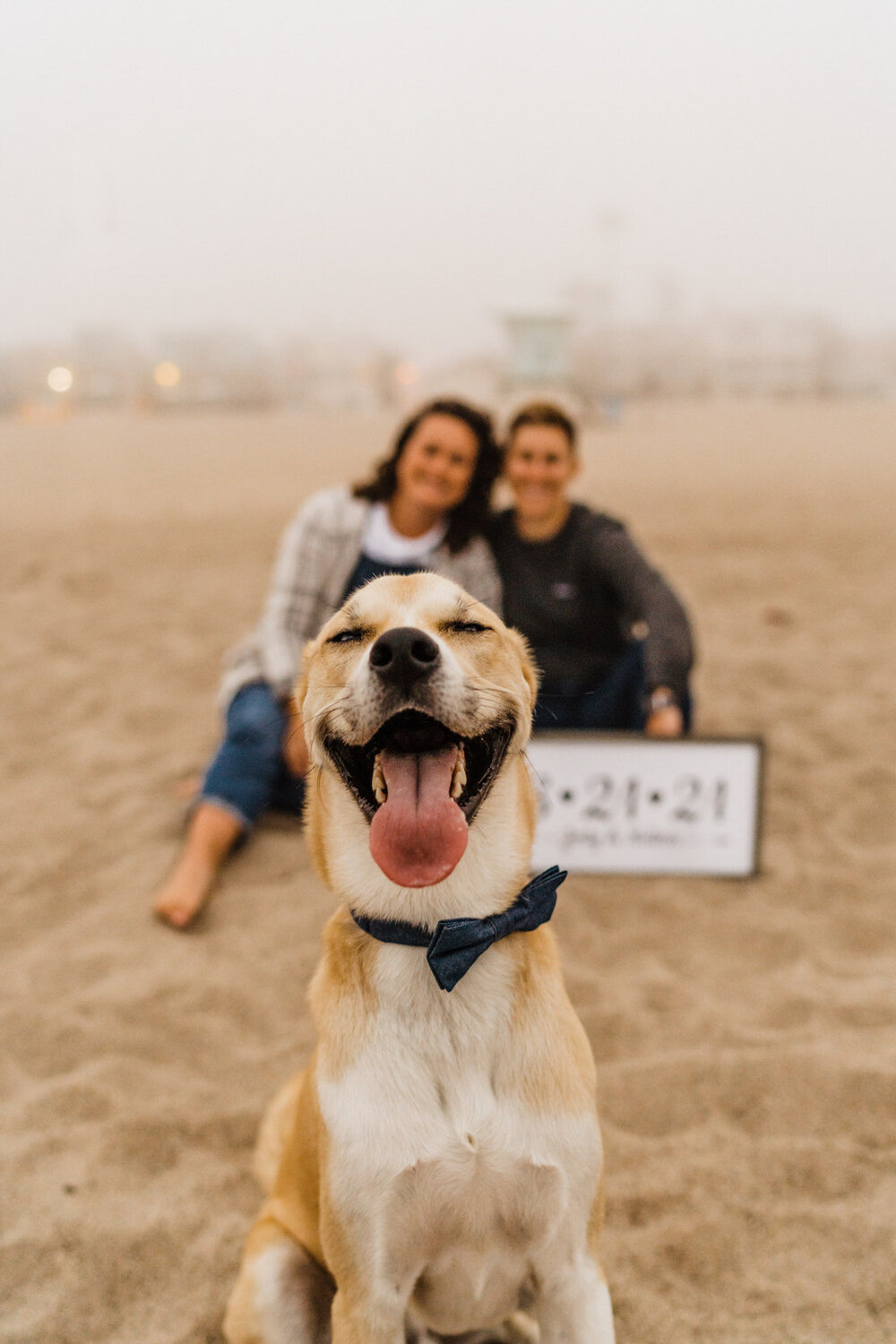 Ventura-Beach-Engagement-Shoot-Couple-Women-with-Dog-on-Hollywood-Beach (18).jpg