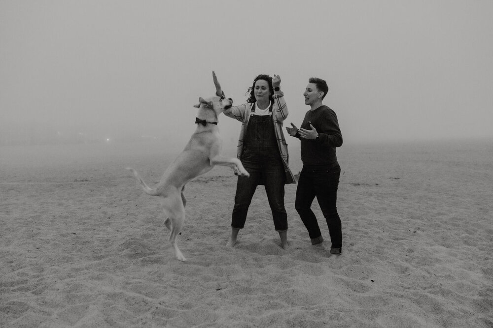 Ventura-Beach-Engagement-Shoot-Couple-Women-with-Dog-on-Hollywood-Beach (24).jpg