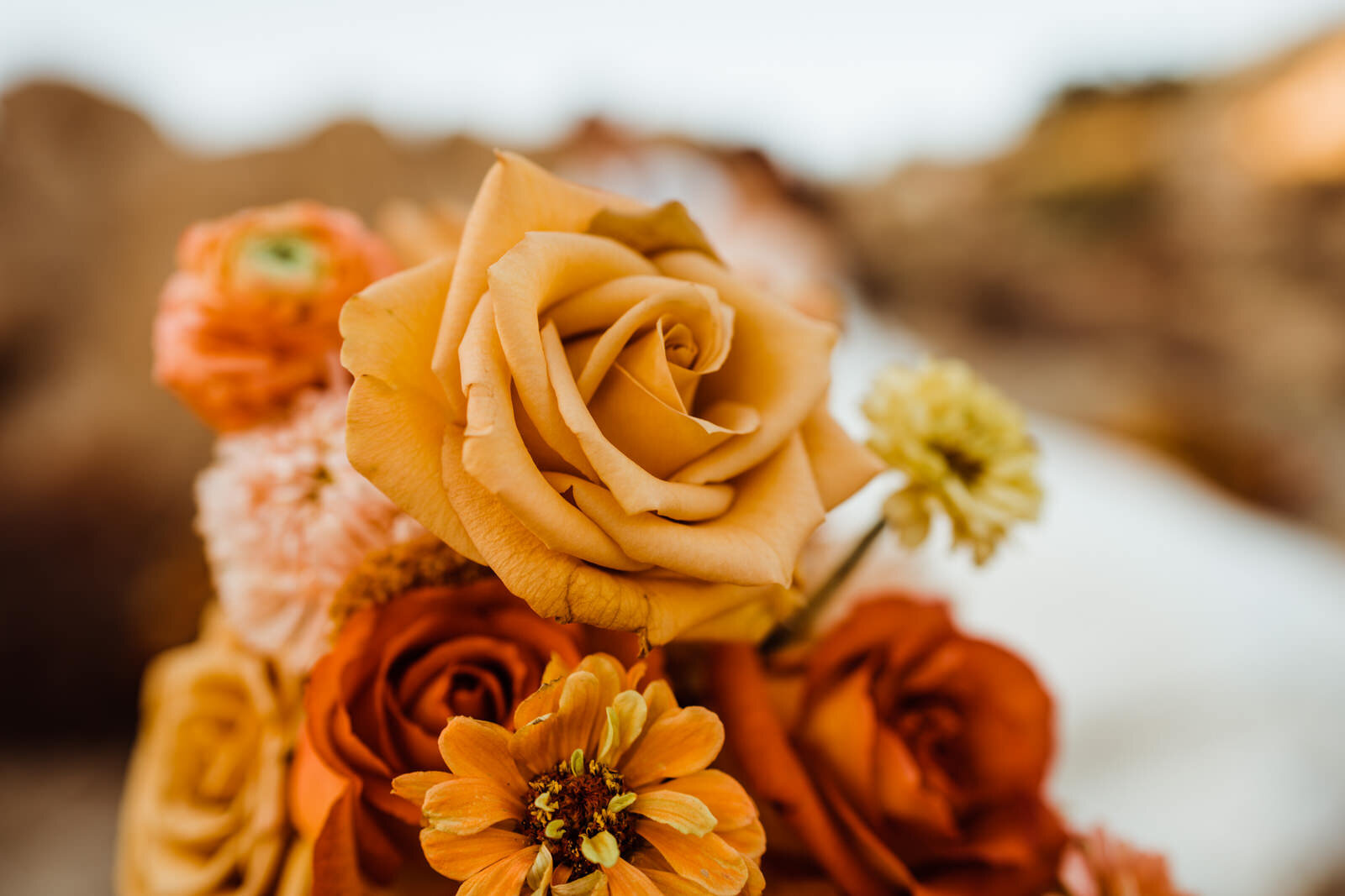 Fall-Wedding-in-Joshua-Tree-Romantic-Sunset-Photos-of-Bride-and-Groom (9).jpg