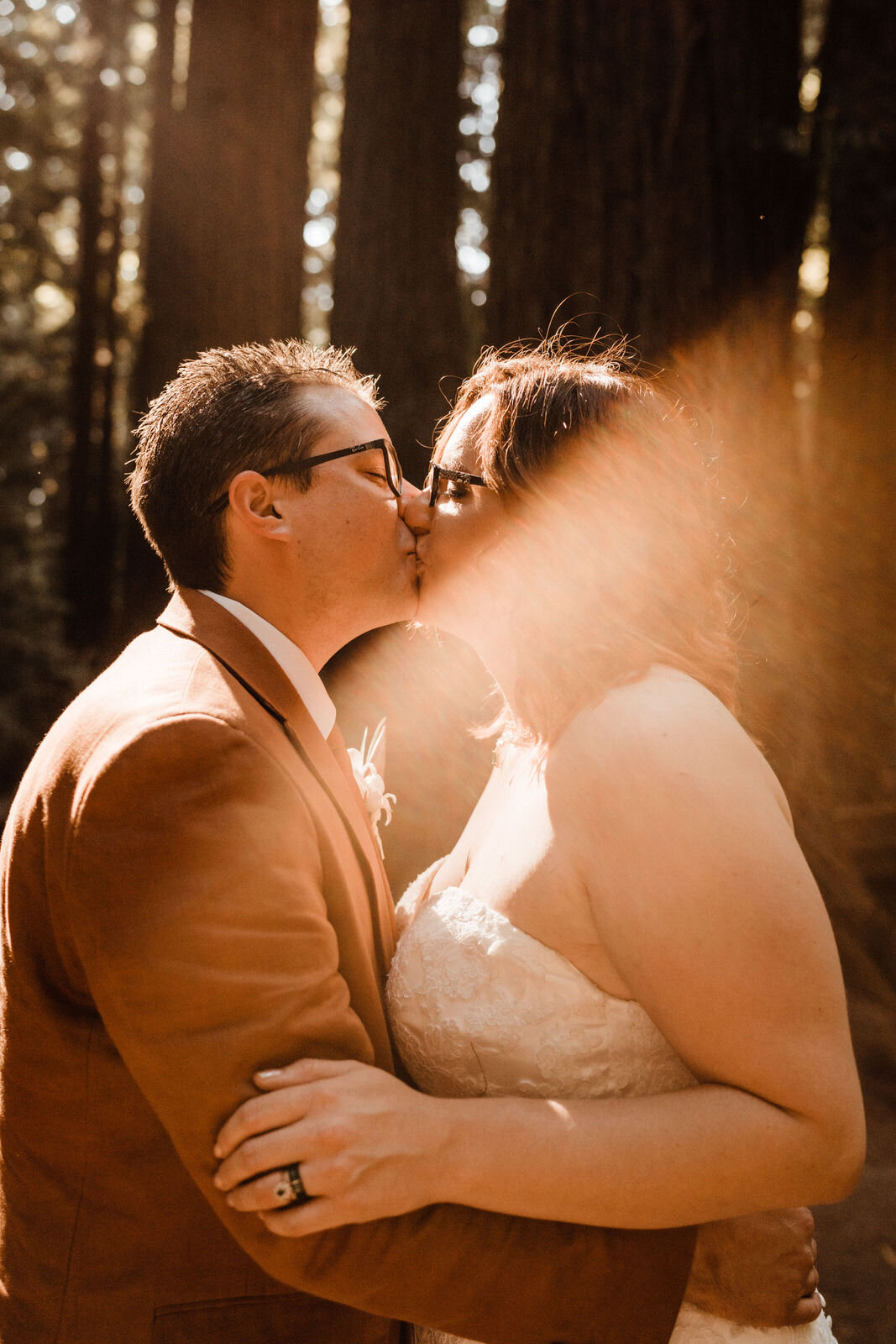 Henry-Cowell-Redwoods-State-Park-Wedding-Santa-Cruz-Warm-Moody-Image-with-Sun-Flare.jpg