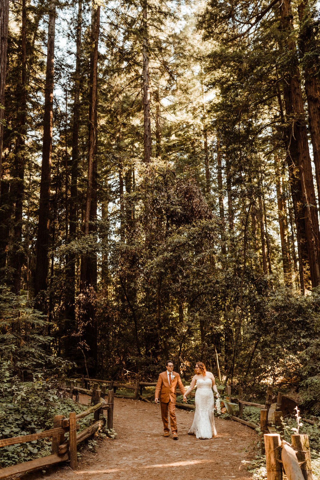 Henry-Cowell-Redwoods-Elopement-Wedding (6).jpg