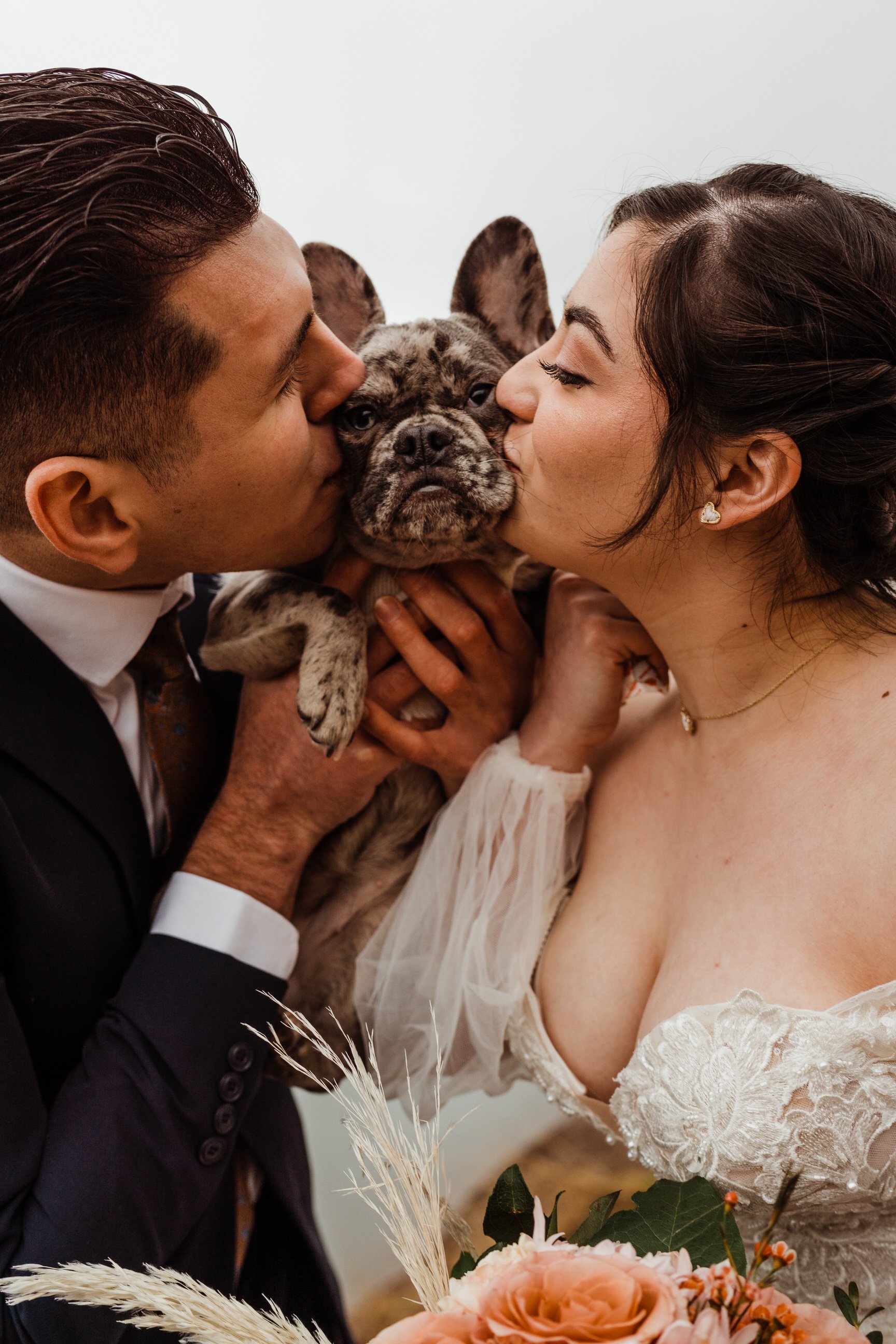 utah-mountain-elopement-french-bulldog-puppy-in-wedding-kissed-by-bride-and-groom.jpg