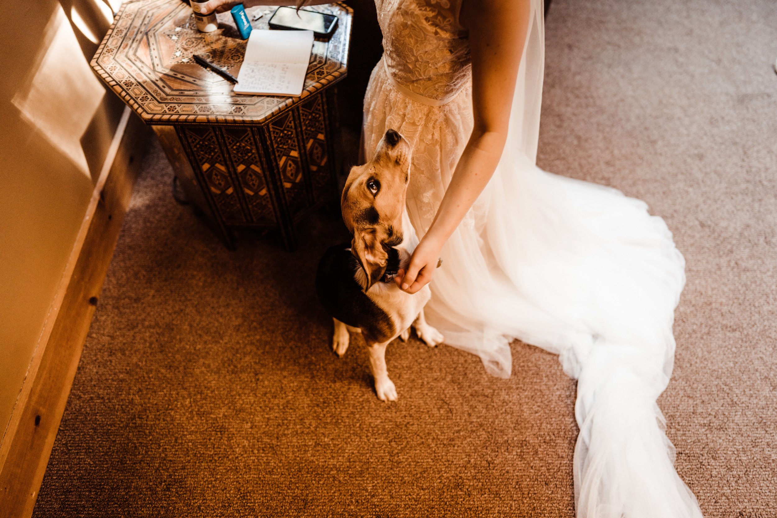 Wedding-in-the-Woods-Bride-Getting-Ready-with-Beagle-Dog (5).jpg