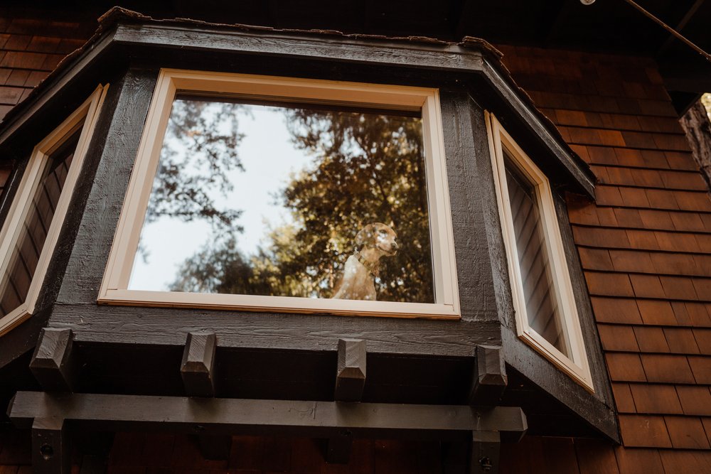 Wedding-in-the-Woods-Elopement-Ceremony-at-Airbnb-Outdoors (9).jpg