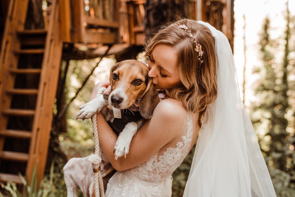Wedding-in-the-Woods-Bride-with-Rescue-Beagle-Bridesmaid-Dog-of-Honor (2).jpg