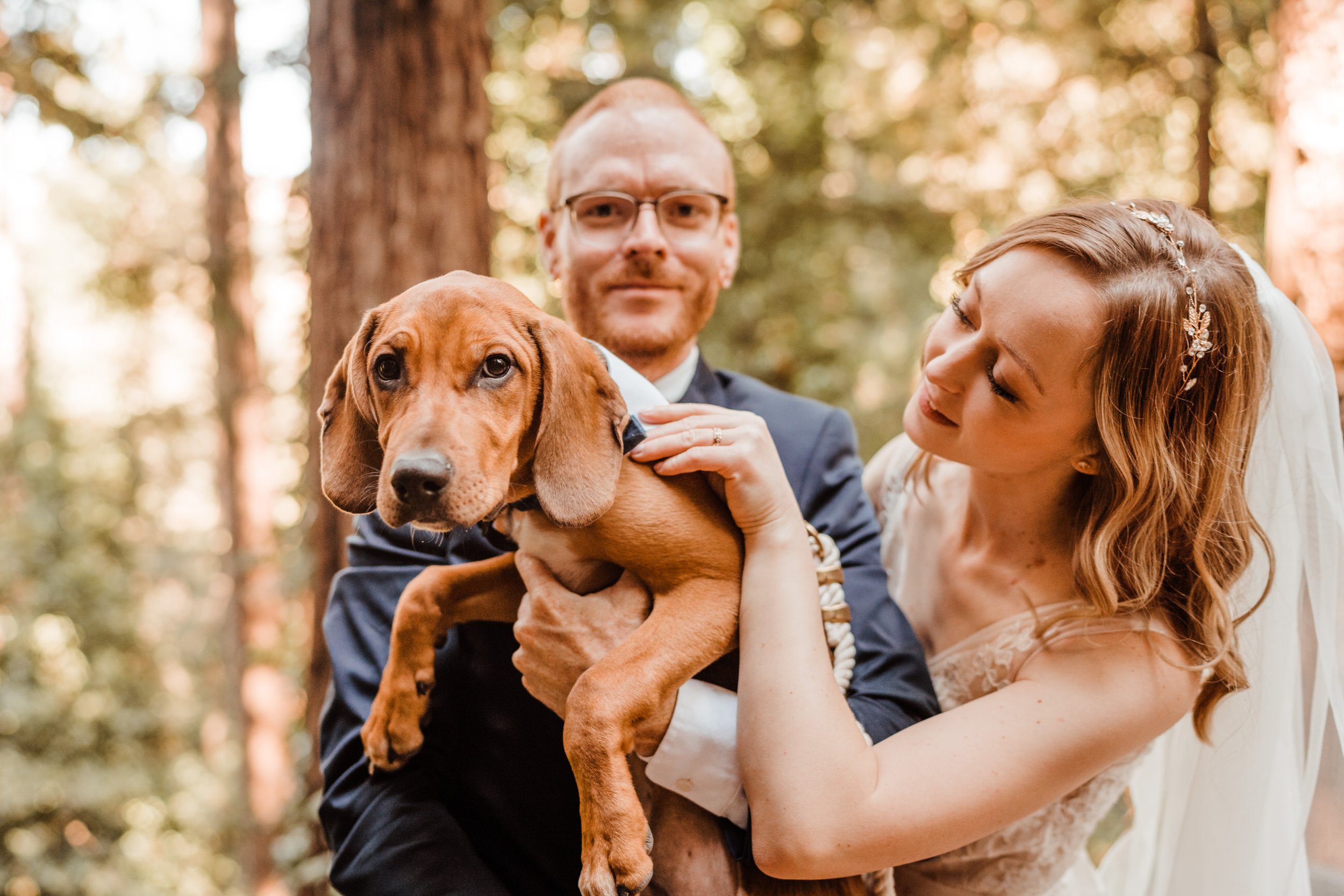 Wedding-in-the-Woods-Bride-and-Groom-Holding-Rescue-Puppy-at-Elopement-beneath-Redwood-Trees (1).jpg