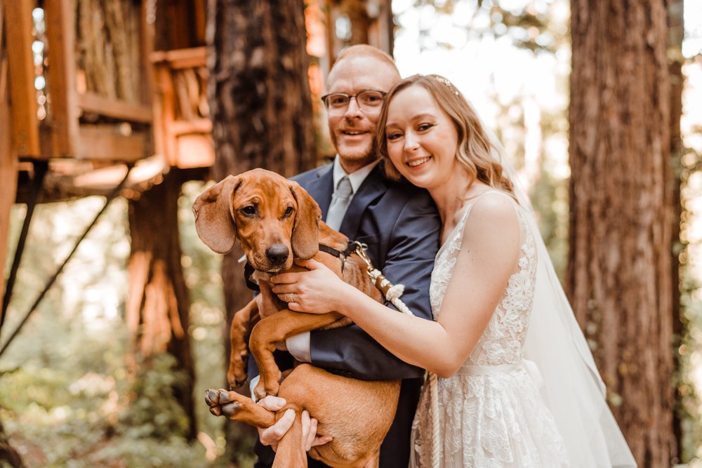 Wedding-in-the-Woods-Bride-and-Groom-Holding-Rescue-Puppy-at-Elopement-beneath-Redwood-Trees (2).jpg