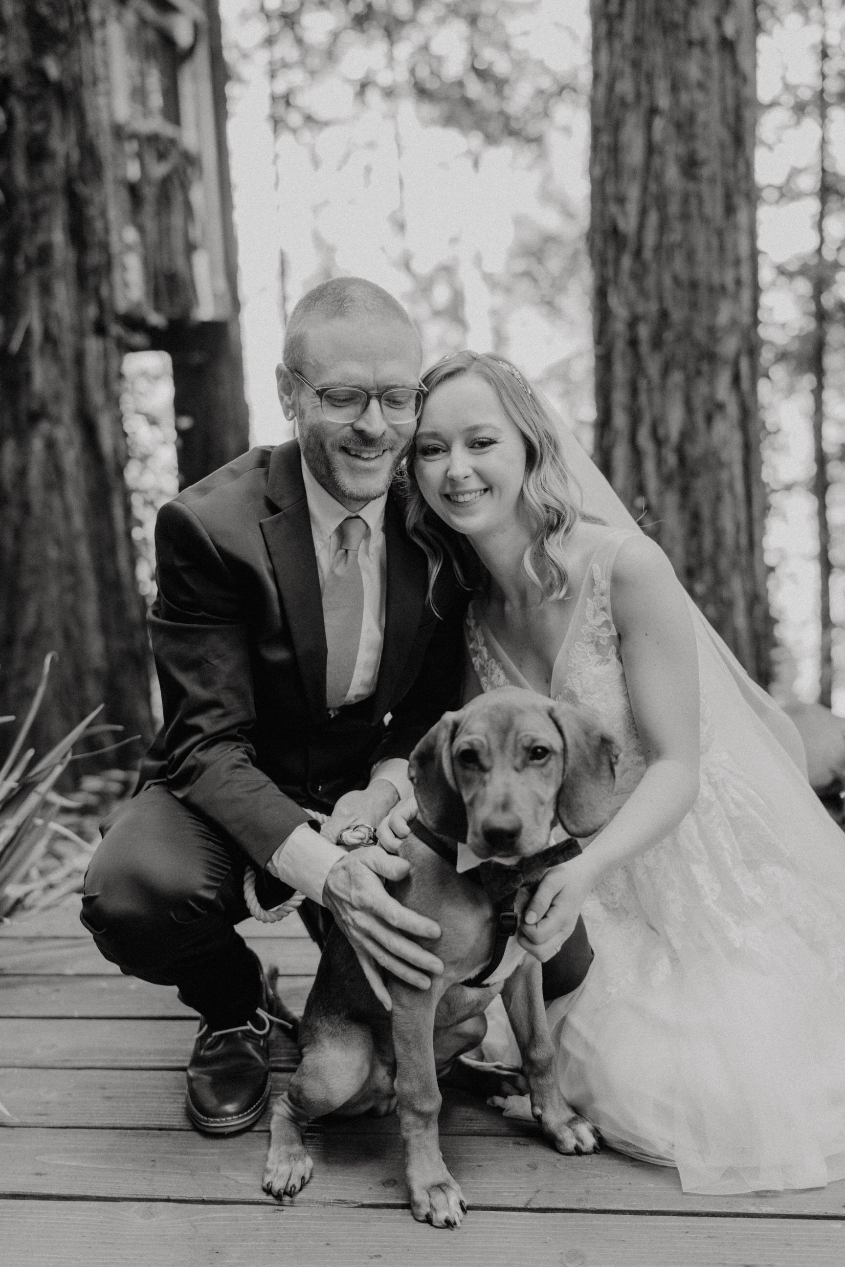 Wedding-in-the-Woods-Bride-and-Groom-Holding-Rescue-Puppy-at-Elopement-beneath-Redwood-Trees (4).jpg