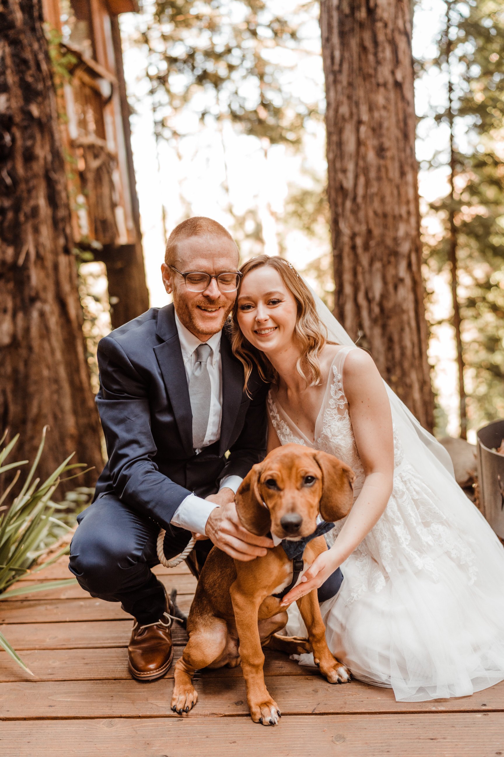 Wedding-in-the-Woods-Bride-and-Groom-Holding-Rescue-Puppy-at-Elopement-beneath-Redwood-Trees (3).jpg