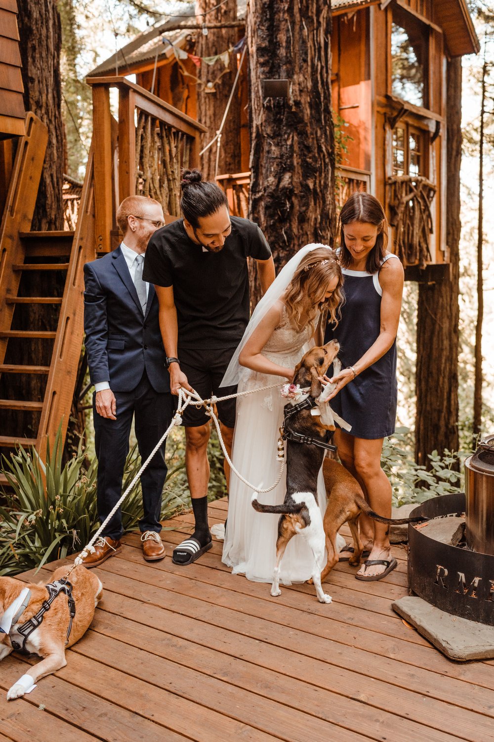 Wedding-in-the-Woods-Bride-and-Groom-with-Best-Friends-and-Dogs (1).jpg