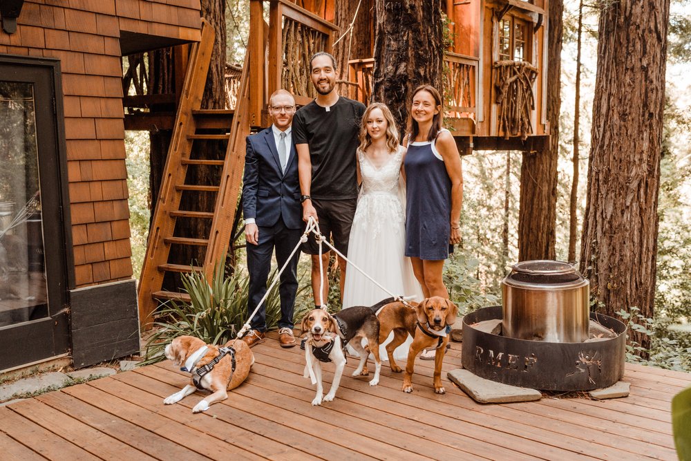 Wedding-in-the-Woods-Bride-and-Groom-with-Best-Friends-and-Dogs (2).jpg