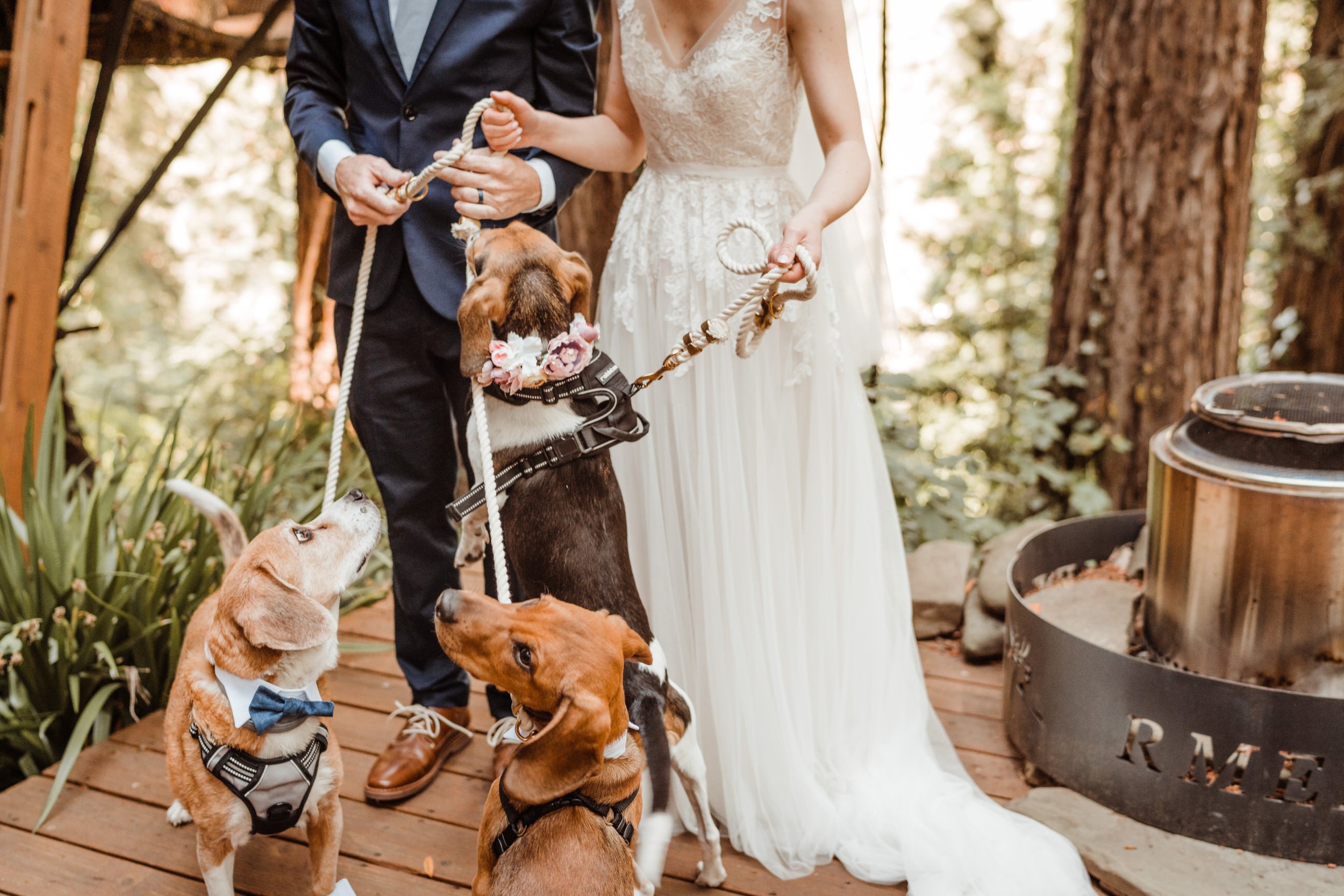 Wedding-in-the-Woods-Dogs-in-Tuxedos-and-Bowties-at-Ceremony (1).jpg