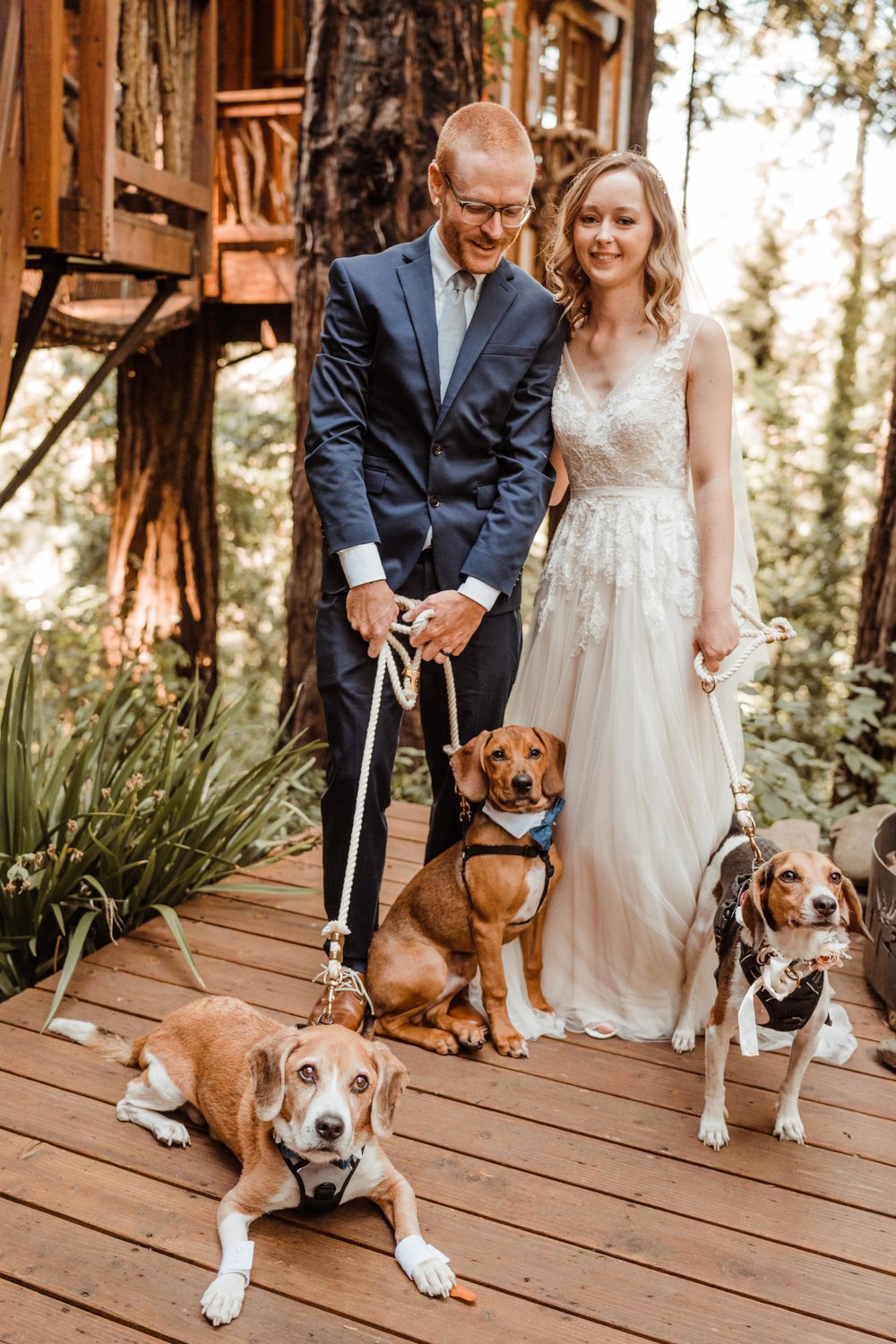 Wedding-in-the-Woods-Eloping-bride-and-groom-with-three-rescue-dogs-in-wedding-attire (1).jpg