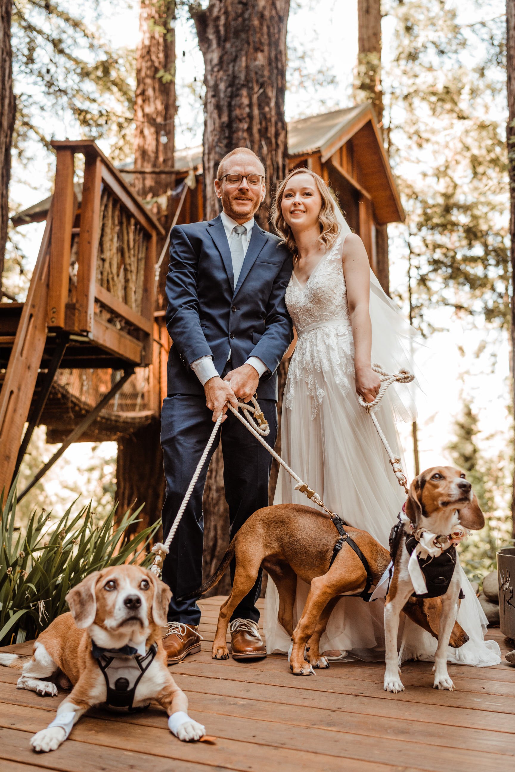 Wedding-in-the-Woods-Eloping-bride-and-groom-with-three-rescue-dogs-in-wedding-attire (2).jpg