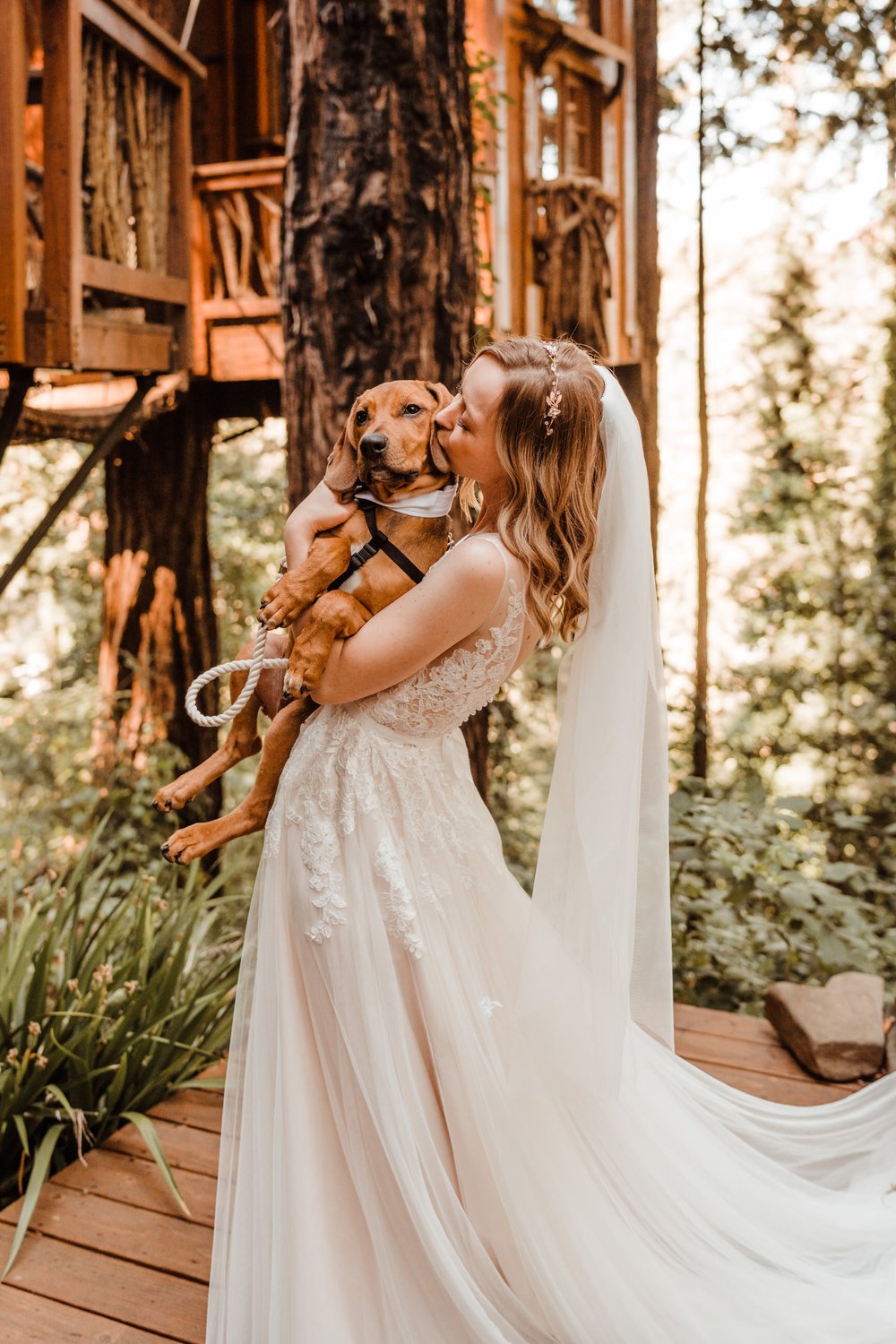 Wedding-in-the-Woods-Bloodhound-Puppy-in-Blue-Dog-Bowtie-with-Bride (2).jpg